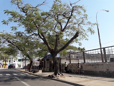 Banco De Corrientes S. A. - Comercio Exterior