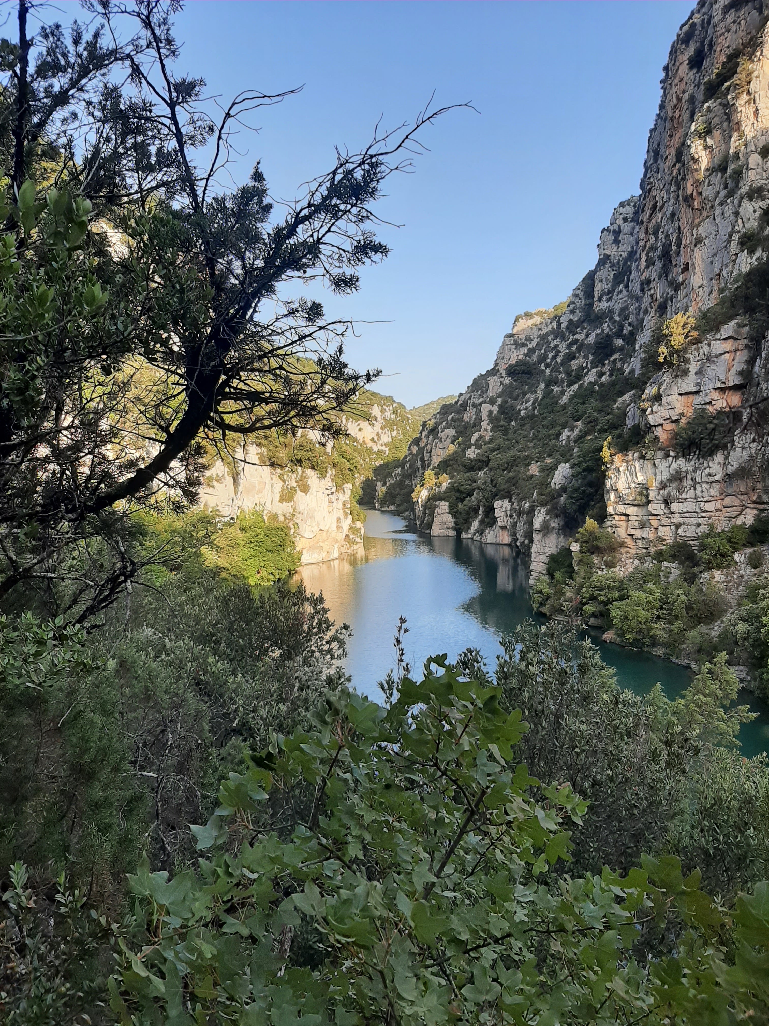 Photo n° 9 de l'avis de Laure.a fait le 17/10/2021 à 17:43