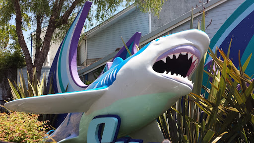 Solano County Fairgrounds image