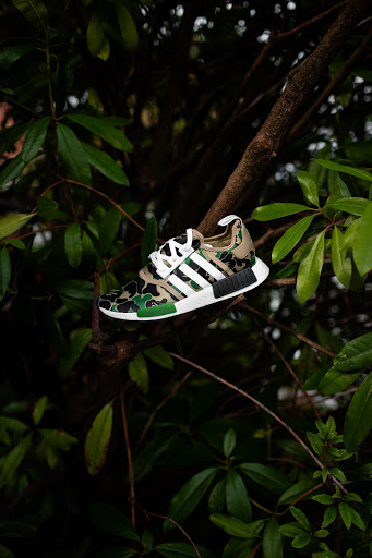 Thrift Store «Lucky Dog Clothing», reviews and photos, 8201 Greenwood Ave N, Seattle, WA 98103, USA