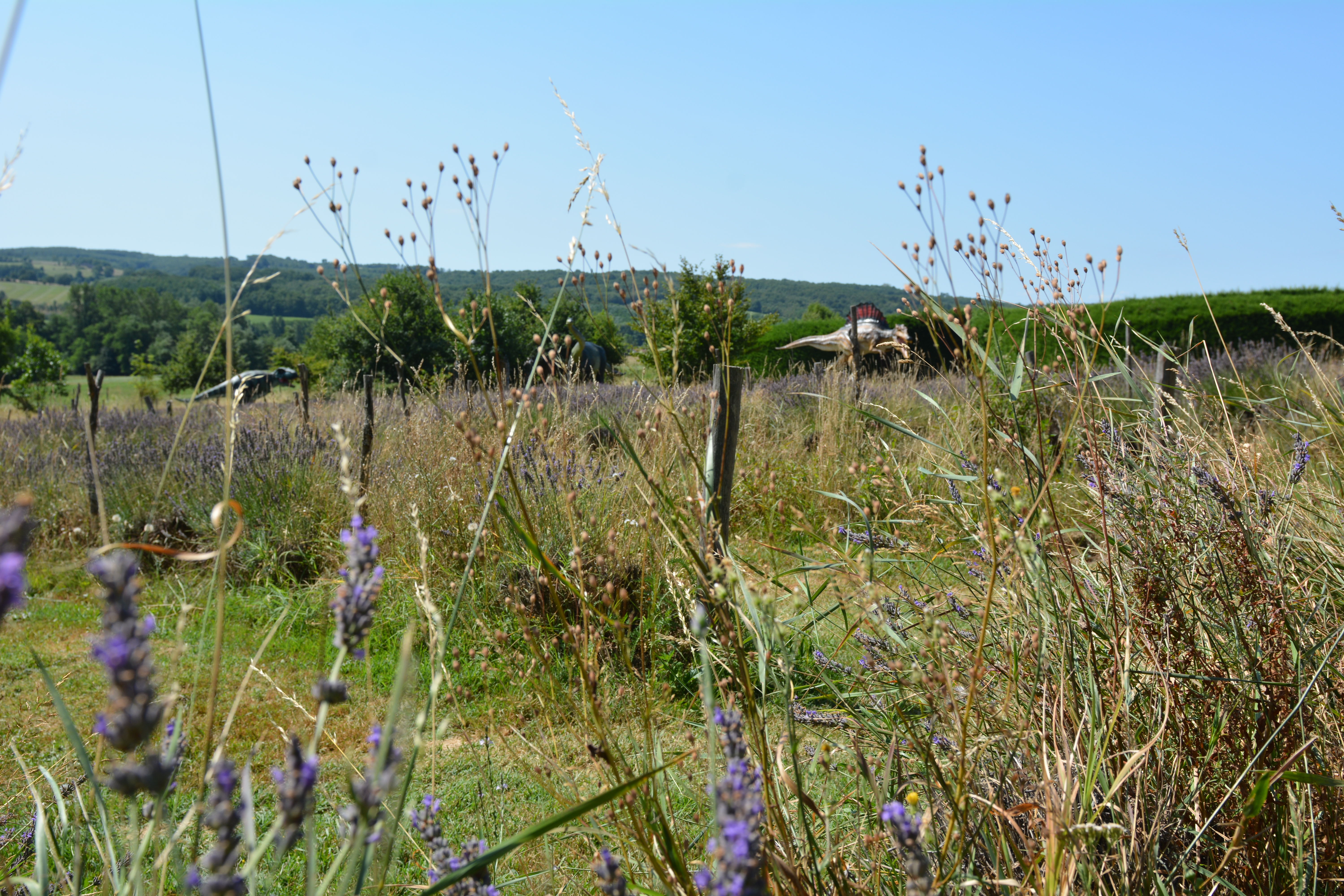 Photo n° 17 de l'avis de Wouter.t fait le 18/08/2019 à 13:45