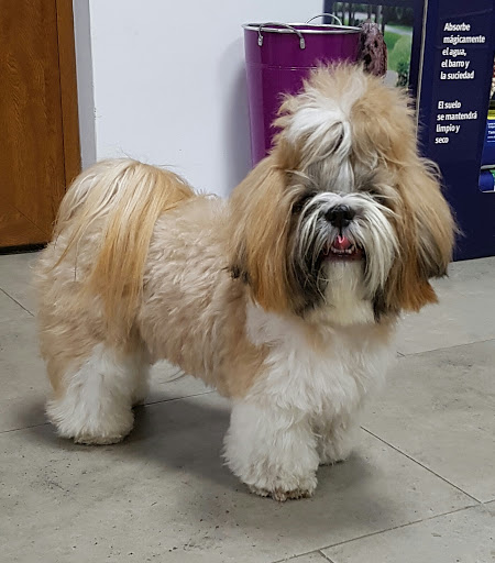 Clínica Veterinaria Cervera en Cervera de Pisuerga