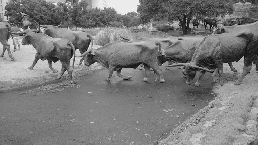 Tourist Attraction «Pioneer Plaza», reviews and photos, 1428 Young St, Dallas, TX 75202, USA