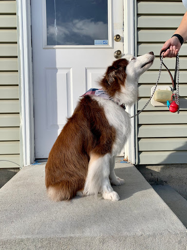 Pet Supply Store «PetSmart», reviews and photos, 2833 35th Ave, Greeley, CO 80634, USA