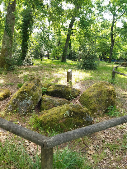 Nécropole Mégalithique De Peyrehaut