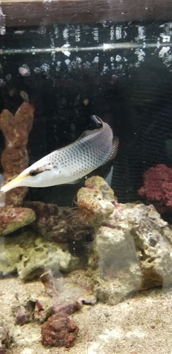 Pet Store «Pet World Warehouse Outlet», reviews and photos, 2148 W Beltline Hwy, Madison, WI 53713, USA