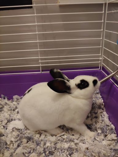 Pet Store «Animal Ark», reviews and photos, 2730 Brookdale Dr, Kingwood, TX 77339, USA