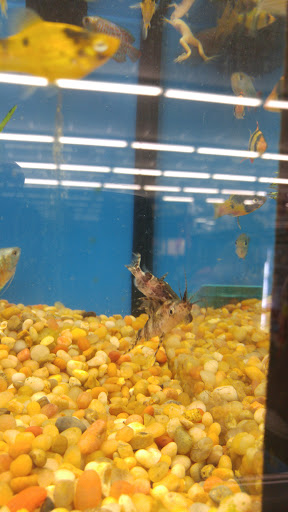 Pet Supply Store «Pet Supplies Plus», reviews and photos, 5229 Library Rd, Bethel Park, PA 15102, USA