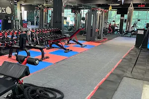 Zoo Culture Gym image