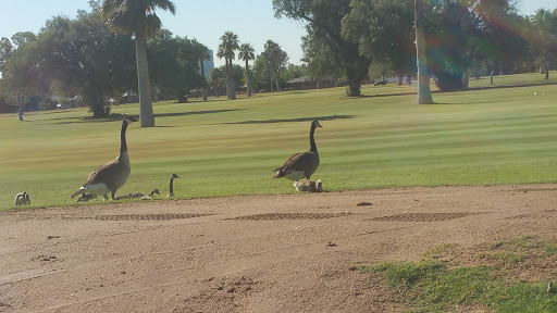 Golf Course «Encanto 9-Hole Golf Course», reviews and photos, 2300 N 17th Ave, Phoenix, AZ 85007, USA