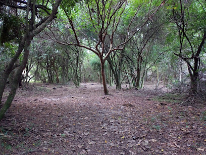 Reserva Natural de Bosque Nativo 'Don Merejo'