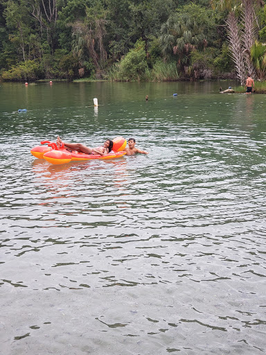 National Forest «Ocala National Forest», reviews and photos, 40929 FL-19, Umatilla, FL 32784, USA