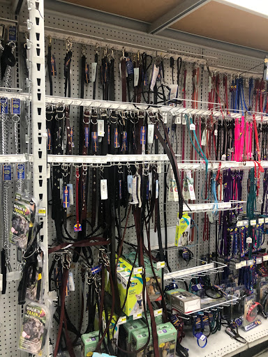 Pet Supply Store «Pet Club San Mateo», reviews and photos, 1850 S Norfolk St, San Mateo, CA 94403, USA