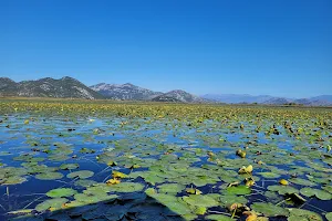 Lake Skadar National Park Visitors Centre image