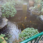 Photo n°1 de l'avis de Christoph.z fait le 23/07/2021 à 17:50 sur le  Gaststätte Alter Bahnhof à Hanover