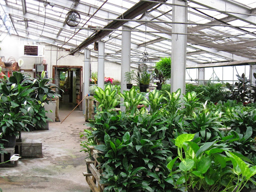 Dick Adgate Florist, 2300 Elm Rd NE, Warren, OH 44483, USA, 