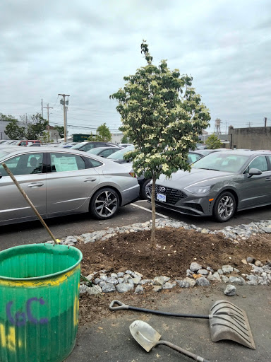 Hyundai Dealer «Balise Hyundai of Fairfield», reviews and photos, 2269 Post Rd, Fairfield, CT 06824, USA