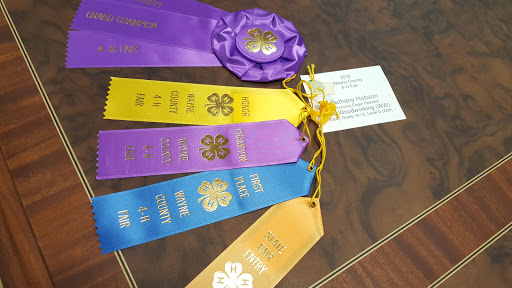 Fairground «Wayne County Fairgrounds», reviews and photos, 861 Salisbury Rd, Richmond, IN 47374, USA