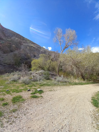 Bakery «Krispy Kreme Doughnuts», reviews and photos, 417 W University Pkwy, Orem, UT 84057, USA
