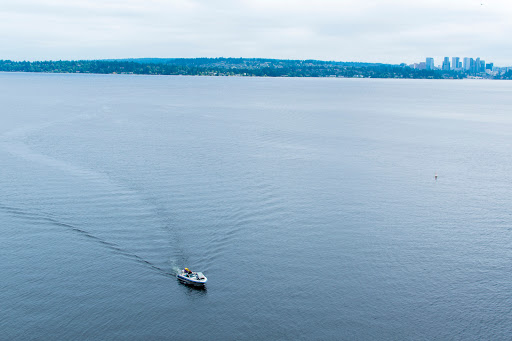 Park «Wilburton Hill Park», reviews and photos, 12400 Main St, Bellevue, WA 98005, USA