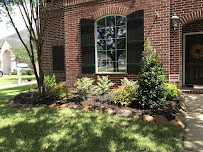 Precision Tree & Landscaping, LLC - Photo 5 - Car repair in Pearland, TX, Pasadena