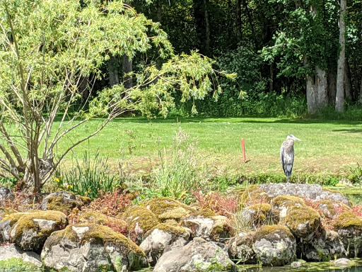 Golf Course «Willamette Valley Country Club», reviews and photos, 900 Country Club Pl, Canby, OR 97013, USA