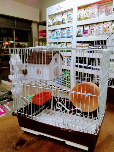 Pet Shop Simón