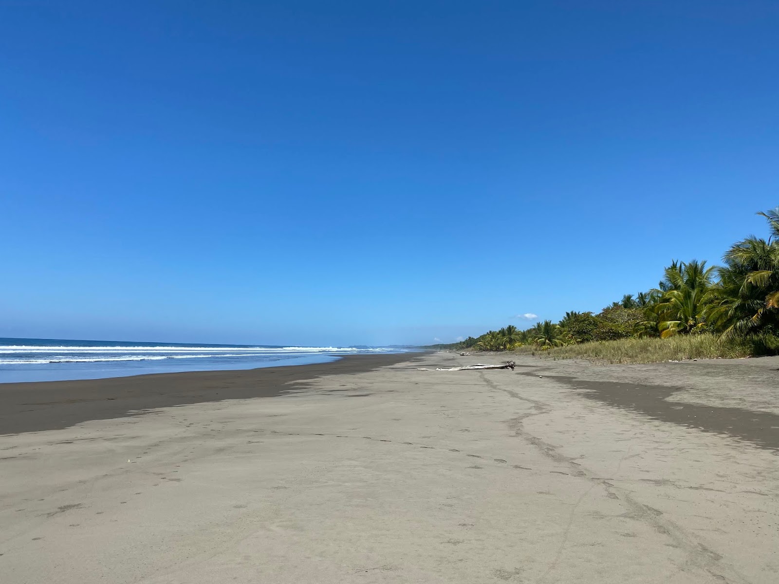 Photo de Playa Matapalo avec un niveau de propreté de très propre
