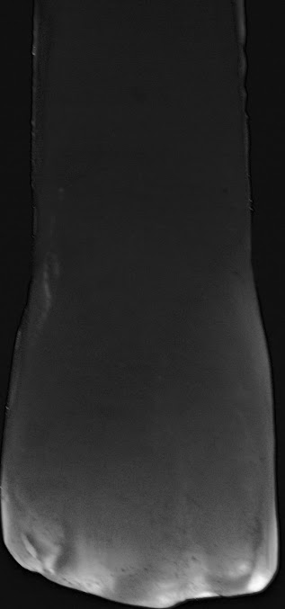 Natura Dentica Dental Studio - Natura Dentica Dental Studio