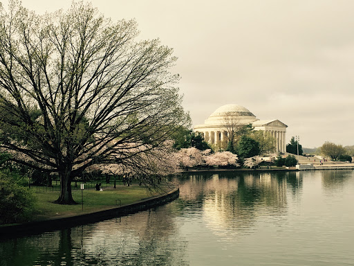 Monument «Thomas Jefferson Memorial», reviews and photos, 701 E Basin Dr SW, Washington, DC 20242, USA