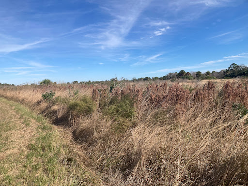 Terra Ceia Hightower Trail