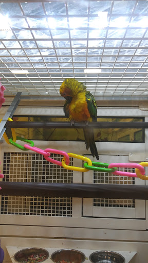 Pet Supply Store «PetSmart», reviews and photos, 11331 Causeway Blvd, Brandon, FL 33511, USA