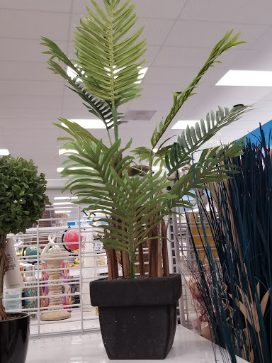 Clothing Store «Ross Dress for Less», reviews and photos, 7338 Gall Blvd, Zephyrhills, FL 33541, USA