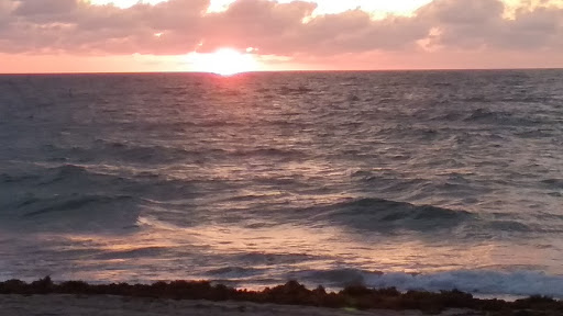 Mexican Restaurant «Tequila Sunrise Mexican Grill», reviews and photos, 4711 N Dixie Hwy, Oakland Park, FL 33334, USA