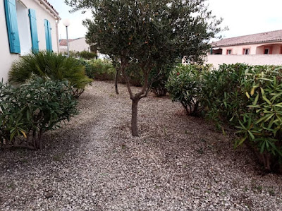 Entretien Espace Vert (Tot Mickaël) à Lézignan-Corbières