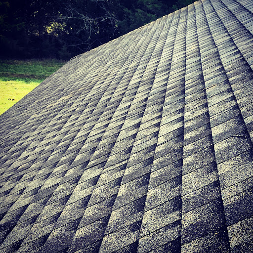 Dove Roofing in Starkville, Mississippi