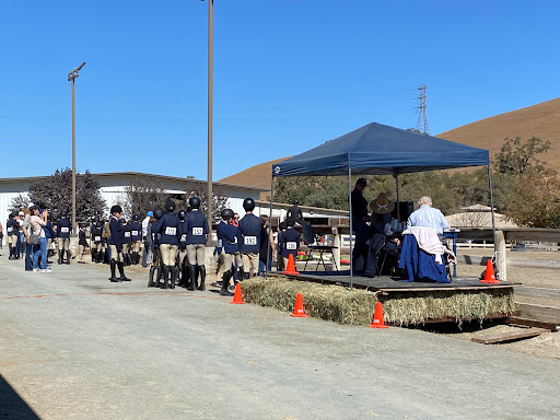 Auto Insurance Agency «State Farm: Sallie Severns», reviews and photos