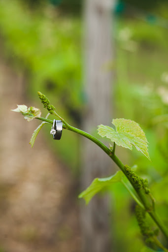 Vineyard «Running Hare Vineyard», reviews and photos, 150 Adelina Rd, Prince Frederick, MD 20678, USA