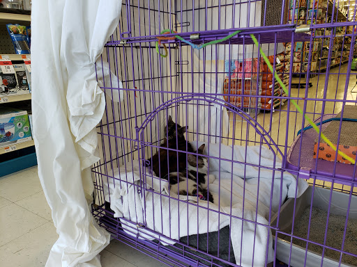 Pet Supply Store «Pet Supplies Plus», reviews and photos, 1258 Northlake Blvd, Lake Park, FL 33403, USA