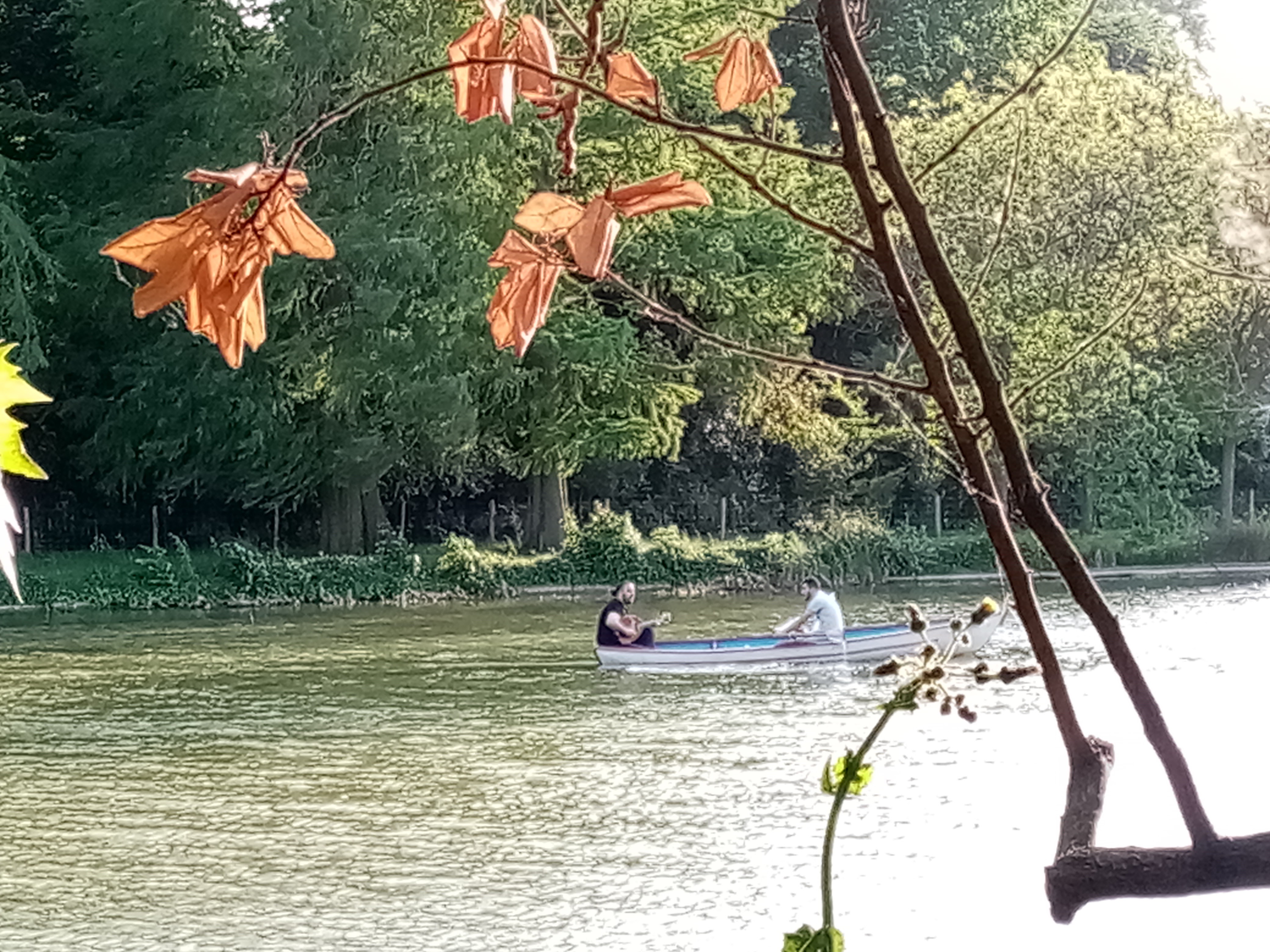 Photo n° 19 de l'avis de Sylvie.a fait le 11/10/2021 à 06:16