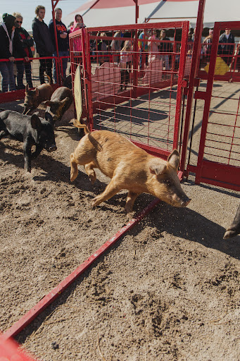 Produce Market «Didier Farms», reviews and photos, 16678 Aptakisic Rd, Lincolnshire, IL 60069, USA