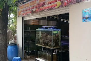 ISLAND AQUARIUM image