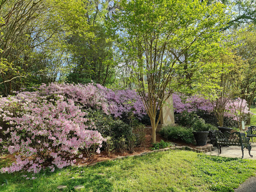 Park «The Crape Myrtle Trails of McKinney», reviews and photos, 6452 Collin McKinney Pkwy, McKinney, TX 75070, USA