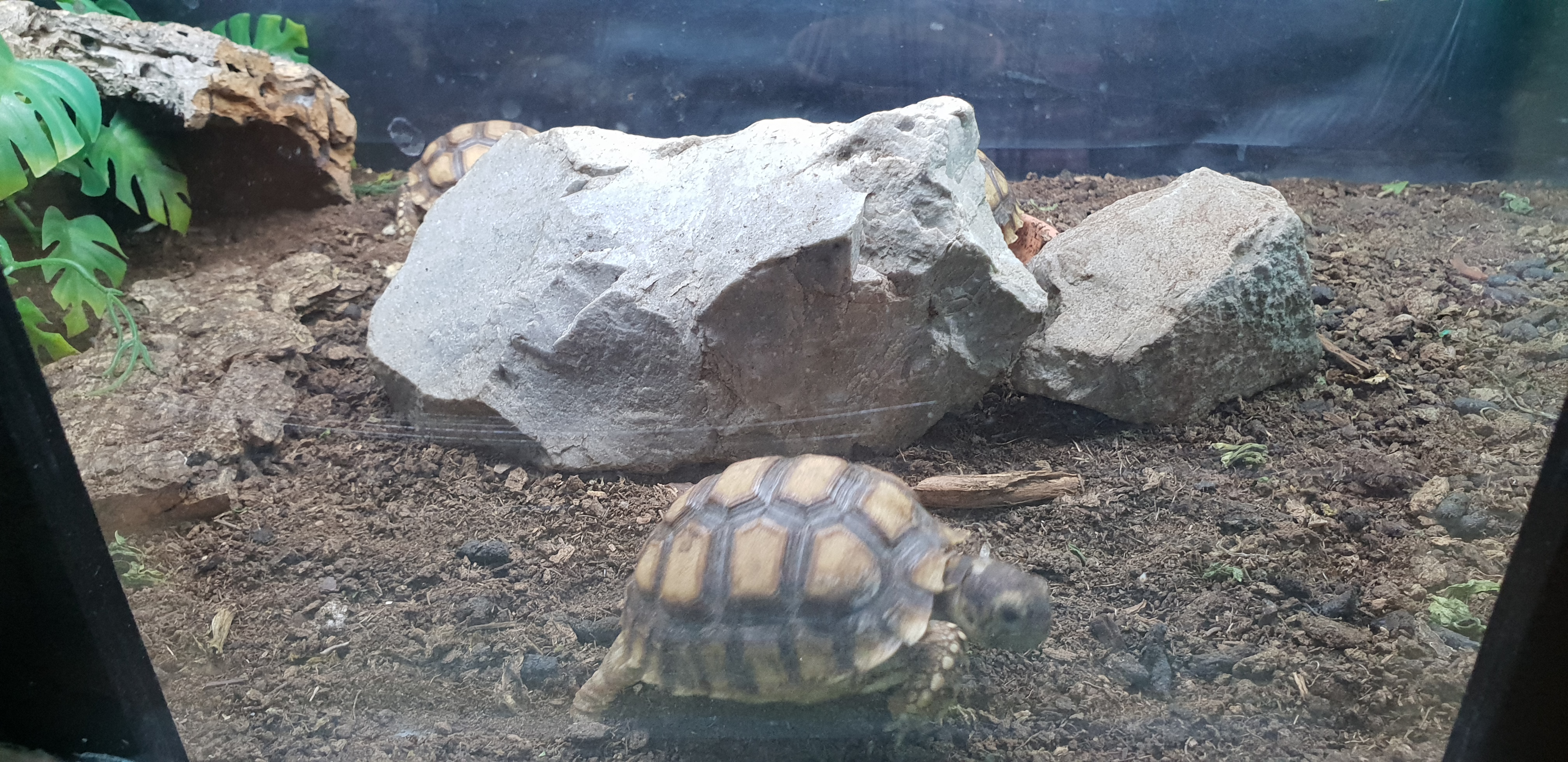 Photo n° 30 de l'avis de Dominique.A fait le 20/04/2018 à 18:56