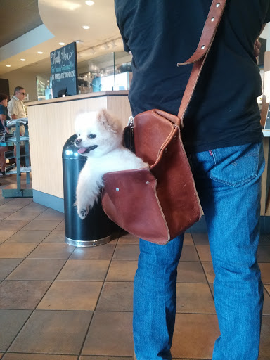 Starbucks image