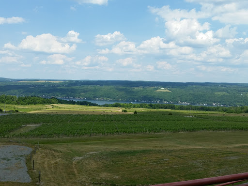 Winery «Heron Hill Winery», reviews and photos, 9301 Co Rd 76, Hammondsport, NY 14840, USA