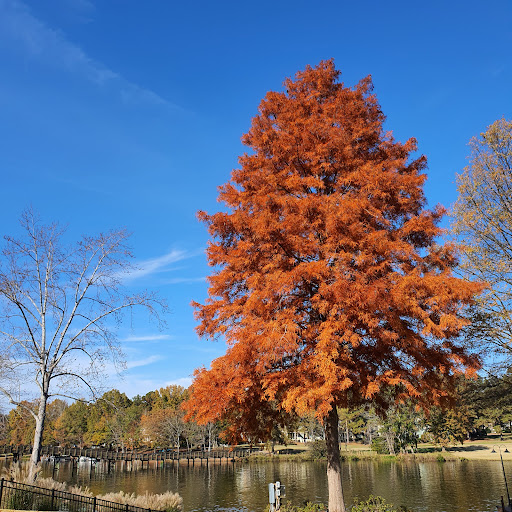 Golf Club «Golf Club At Cuscowilla», reviews and photos, 126 Cuscowilla Dr, Eatonton, GA 31024, USA