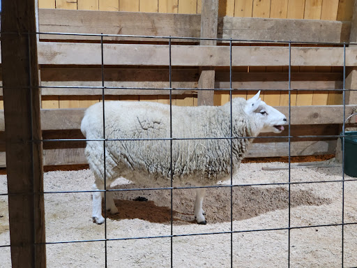 Amusement Center «Maris Farms», reviews and photos, 25001 Sumner Buckley Hwy, Buckley, WA 98321, USA