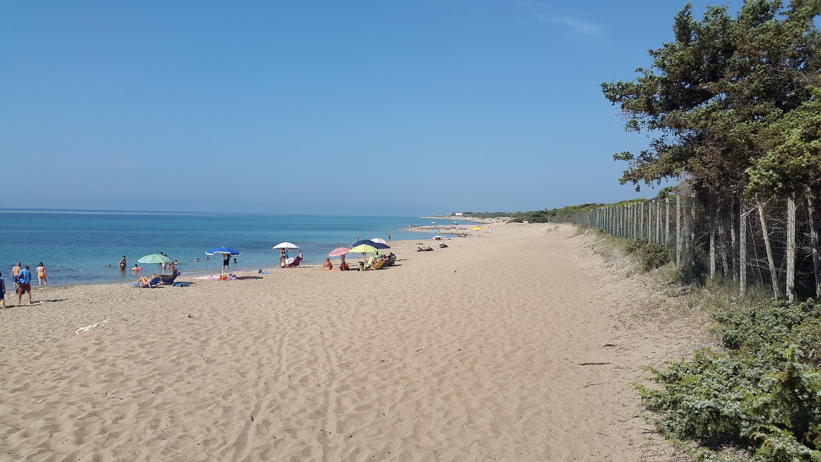 Spiaggia d'Ayala'in fotoğrafı turkuaz saf su yüzey ile