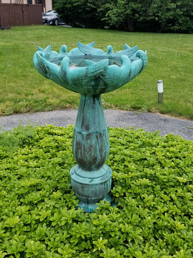 Art Museum «Newport Art Museum», reviews and photos, 76 Bellevue Ave, Newport, RI 02840, USA